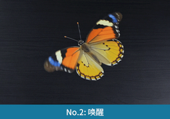 必赢·网络游戏平台-(中国游)有限公司